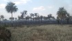 Incendio Forestal